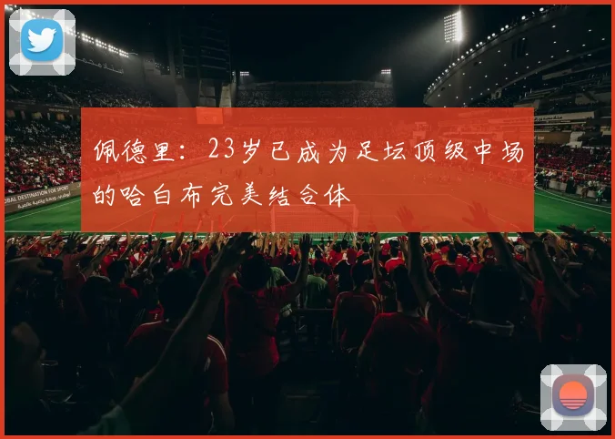 佩德里：23岁已成为足坛顶级中场的哈白布完美结合体