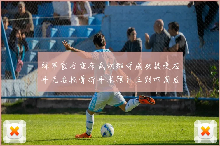 绿军官方宣布武切维奇成功接受右手无名指骨折手术预计三到四周后复查